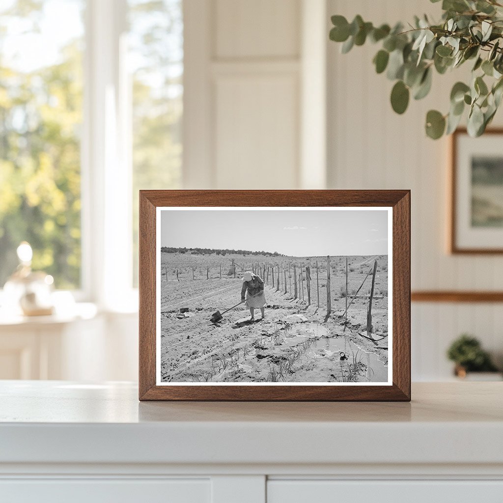 Irrigated Garden in Pie Town New Mexico June 1940