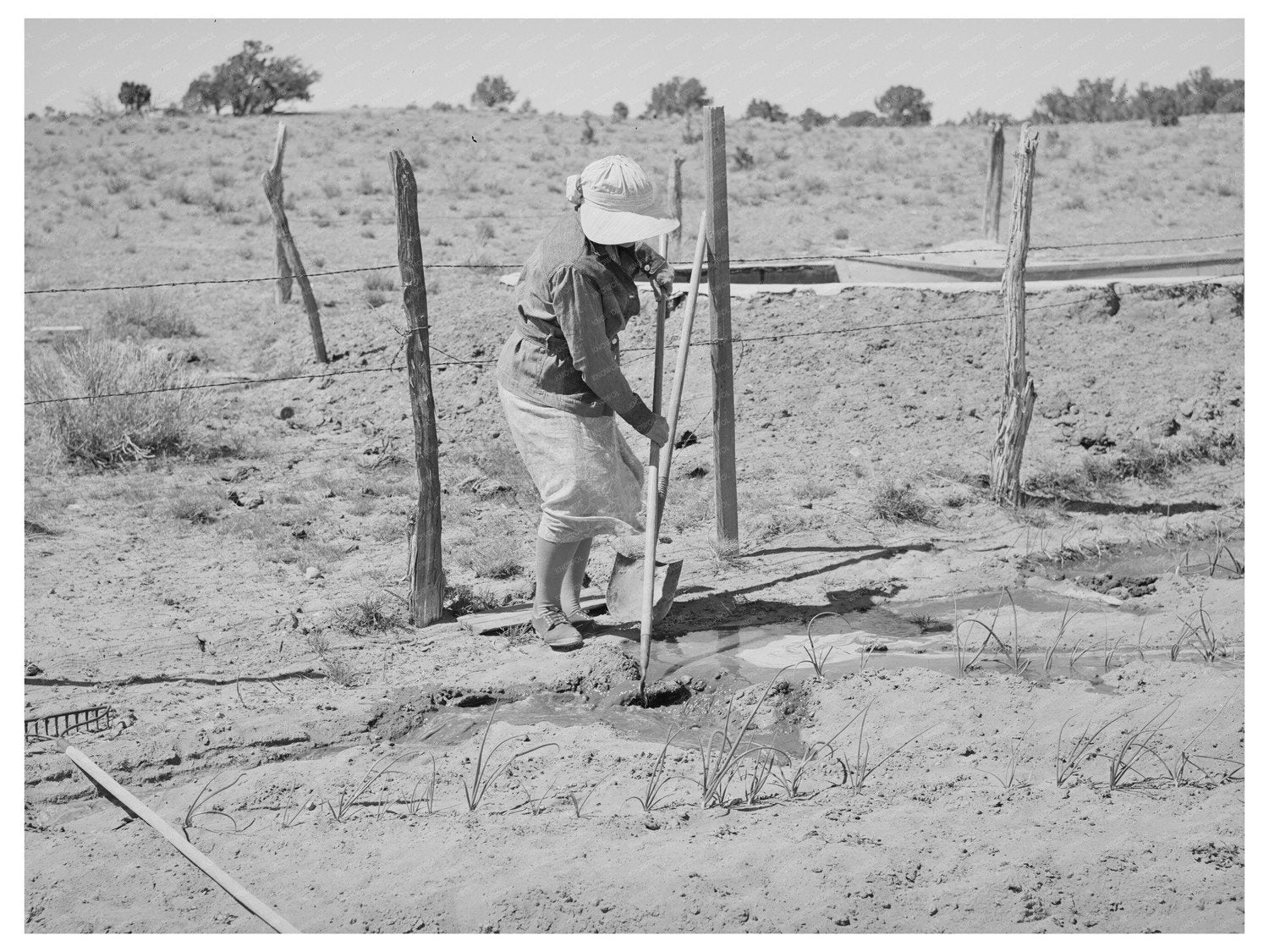 Mrs. Hutton Irrigating Garden in Pie Town New Mexico 1940