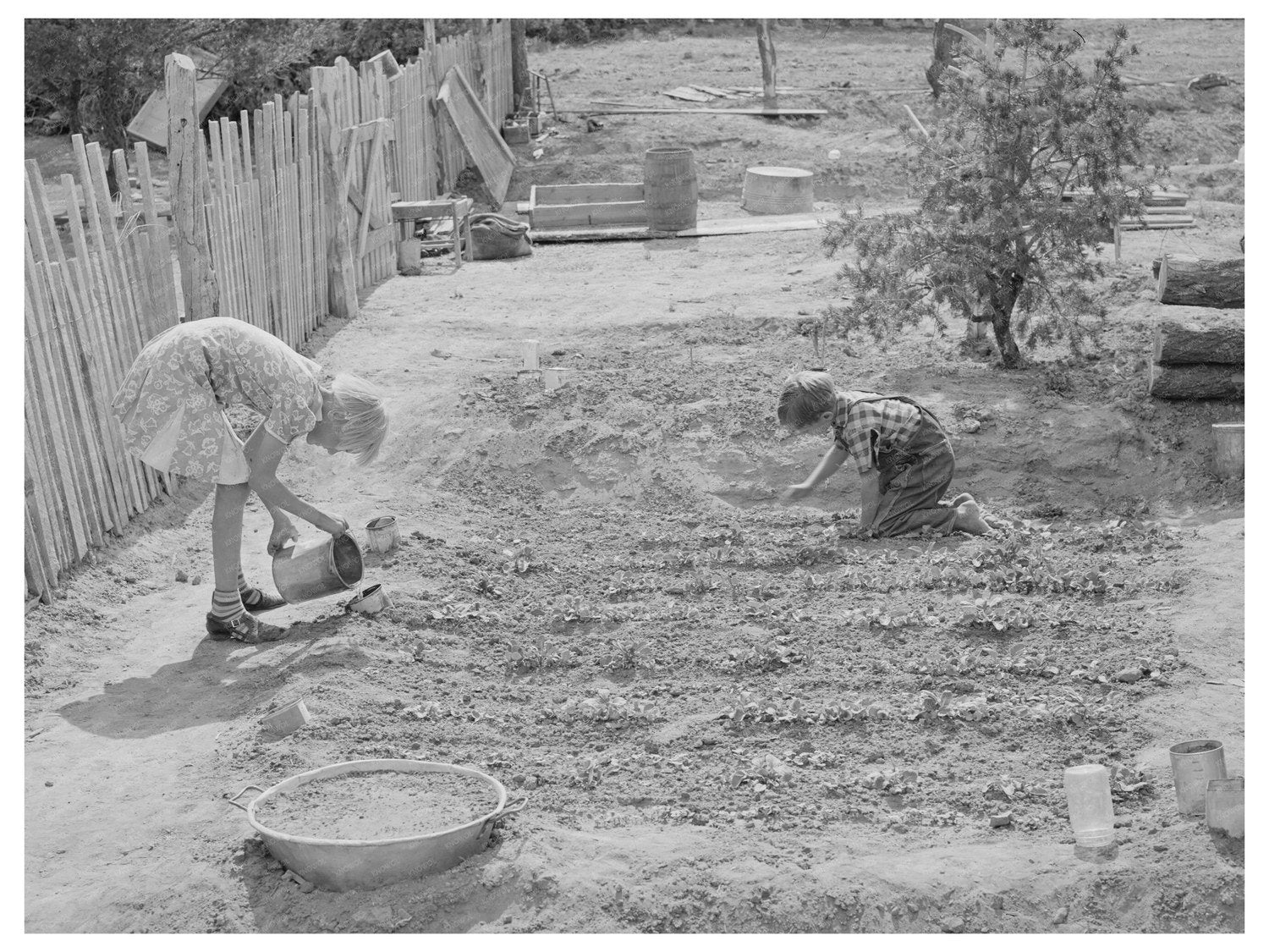 Whinery Children Planting Flowers in Pie Town 1940