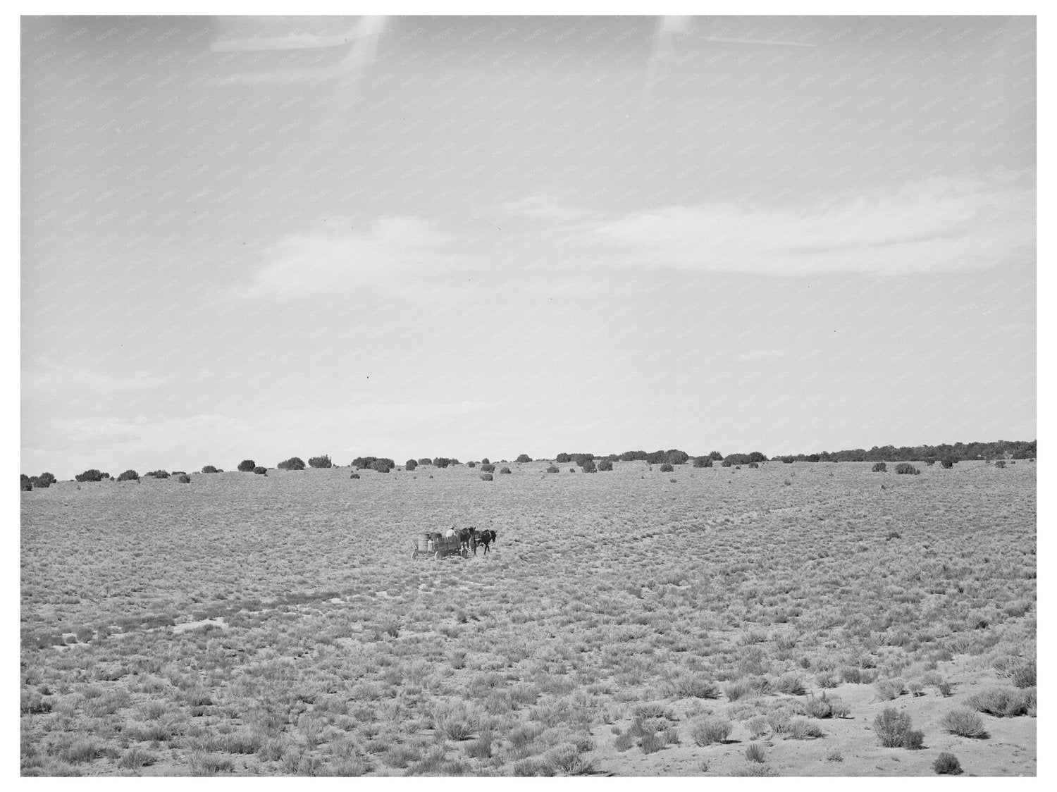 Farmer Hauling Water in Pie Town New Mexico June 1940