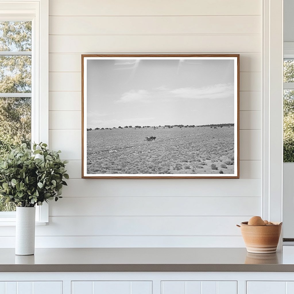 Farmer Hauling Water in Pie Town New Mexico June 1940