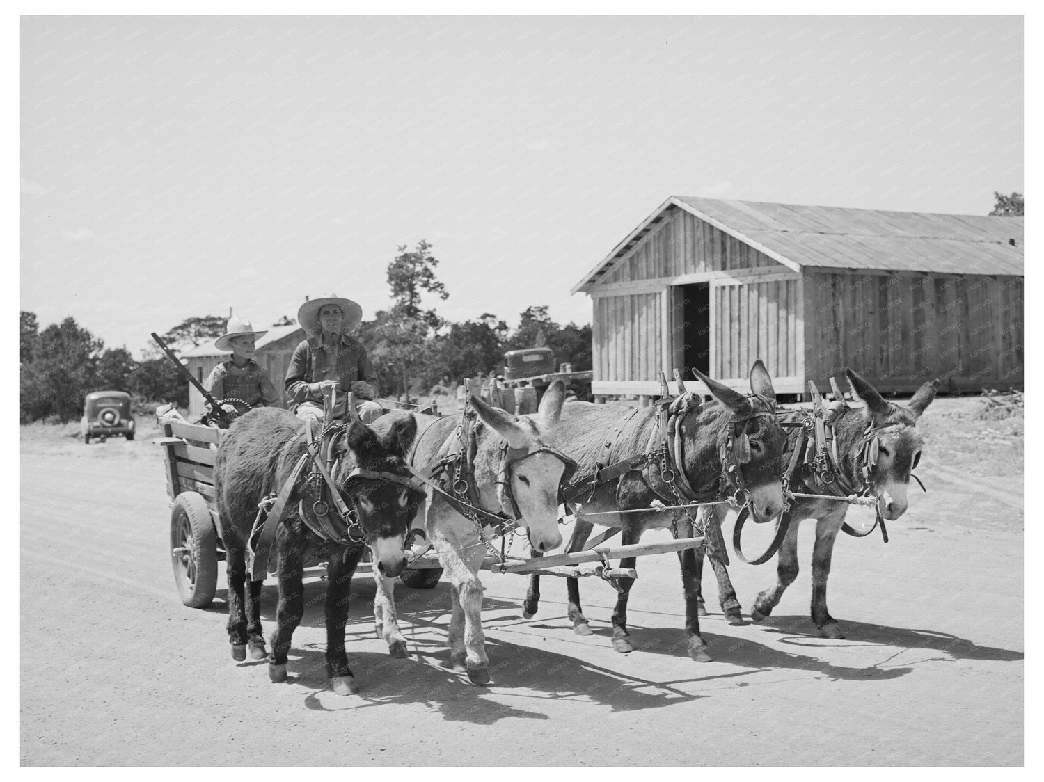 Mr. Leatherman and Son in Burro Cart Pie Town 1940