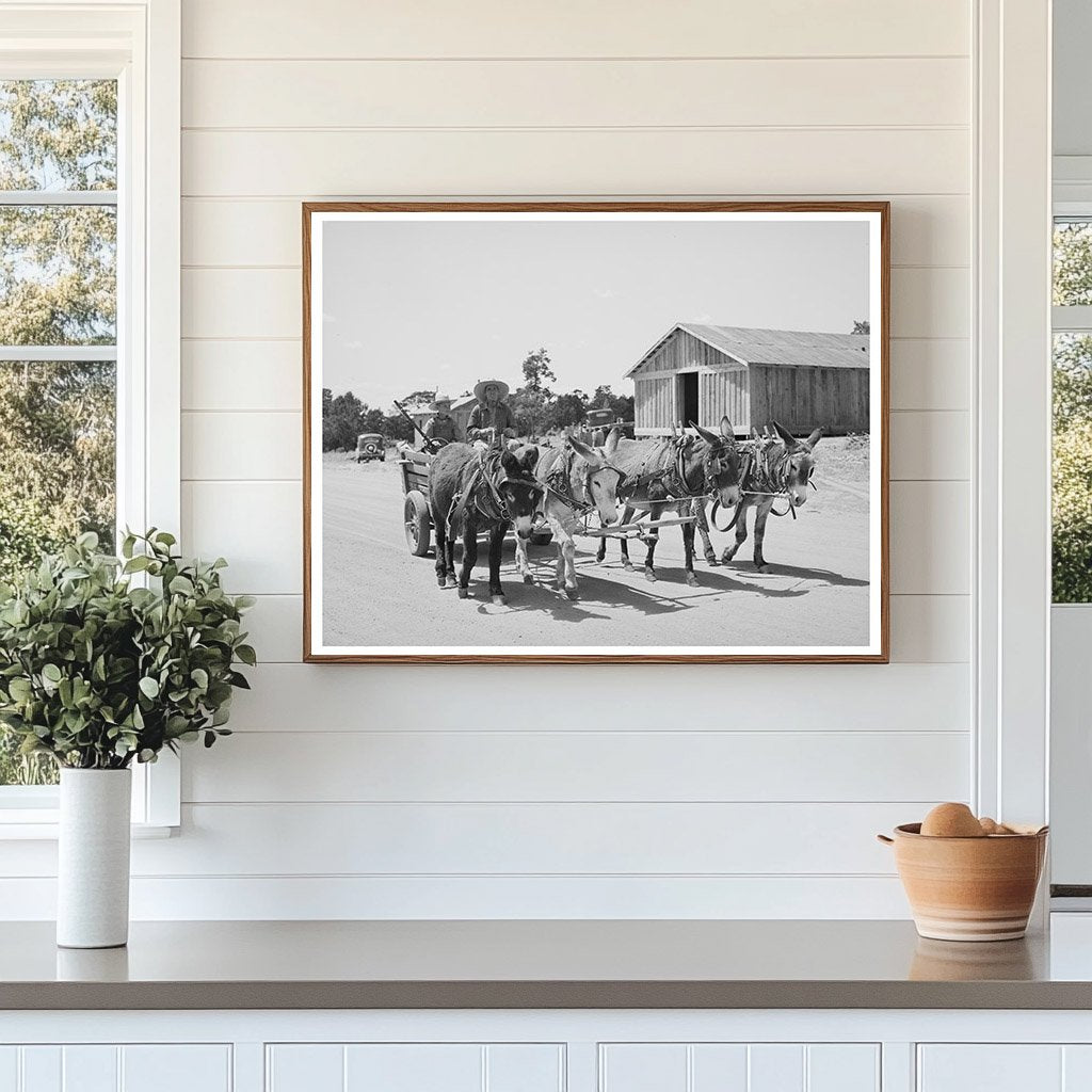 Mr. Leatherman and Son in Burro Cart Pie Town 1940