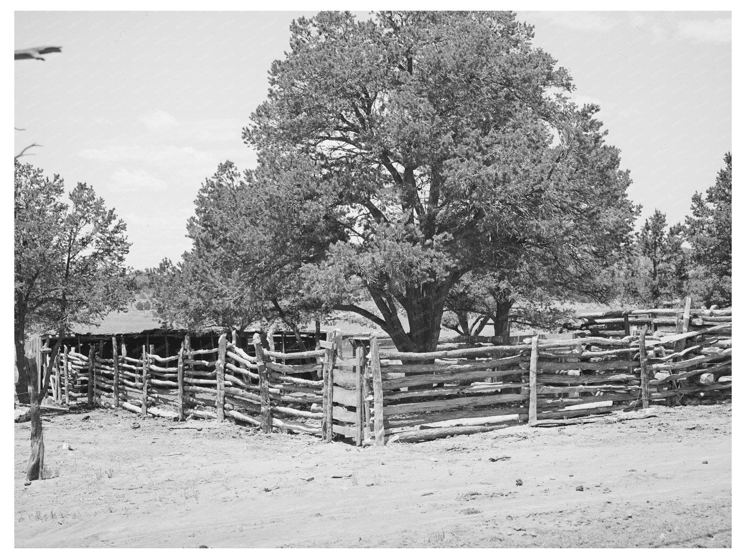 Vintage Wooden Corral in Pie Town New Mexico 1940