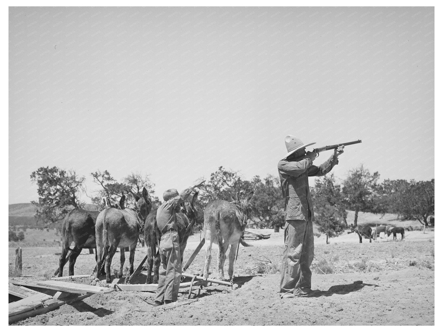 Mr. Leatherman Shoots Chicken Hawk in Pie Town 1940