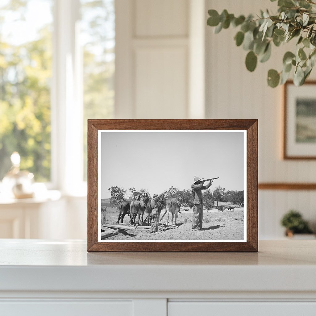 Mr. Leatherman Shoots Chicken Hawk in Pie Town 1940