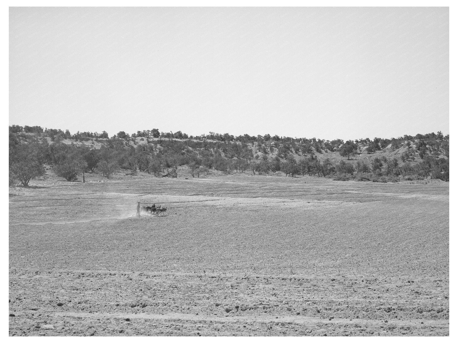 Homesteaders Farm in Pie Town New Mexico 1940