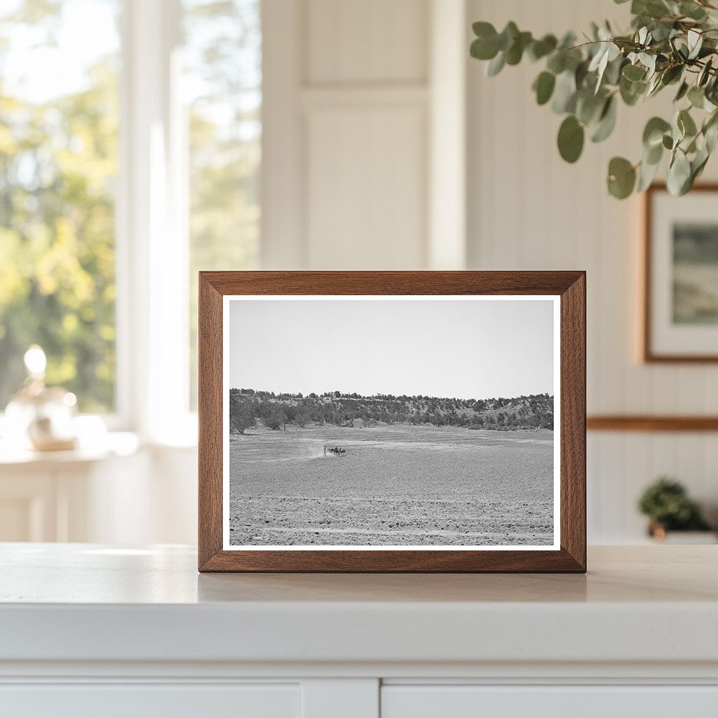 Homesteaders Farm in Pie Town New Mexico 1940