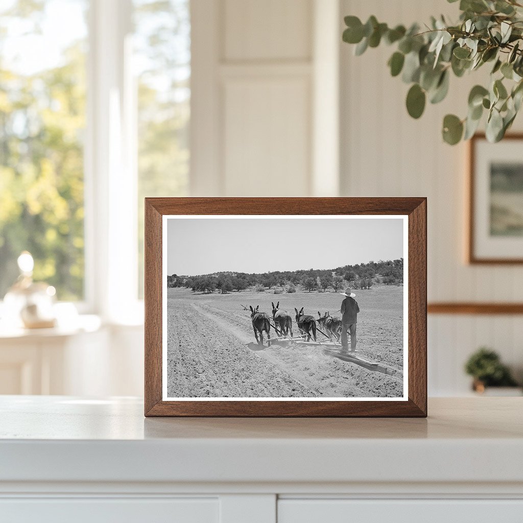 Mr. Leatherman with Burros in Pie Town New Mexico 1940