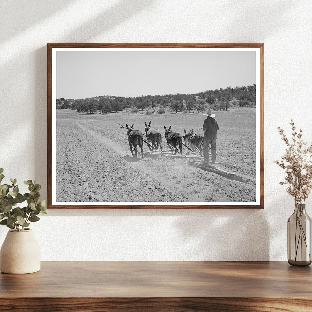 Mr. Leatherman with Burros in Pie Town New Mexico 1940