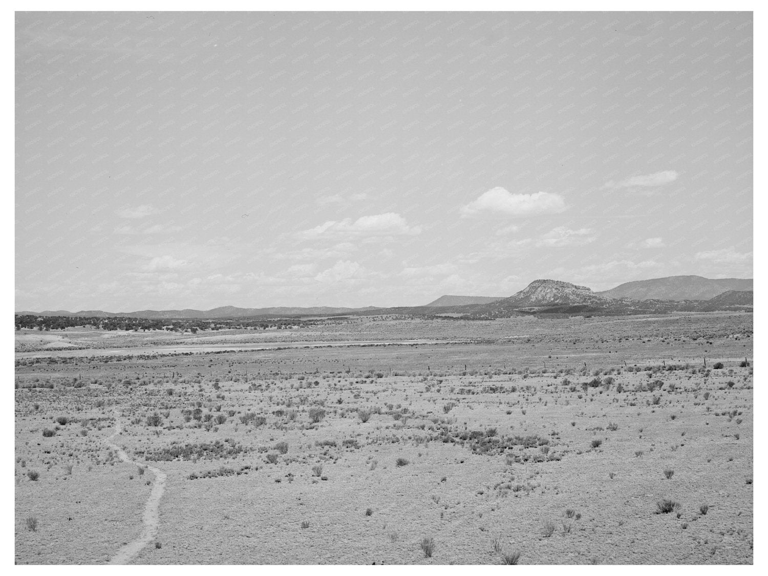 Vintage Landscape of Pie Town New Mexico June 1940