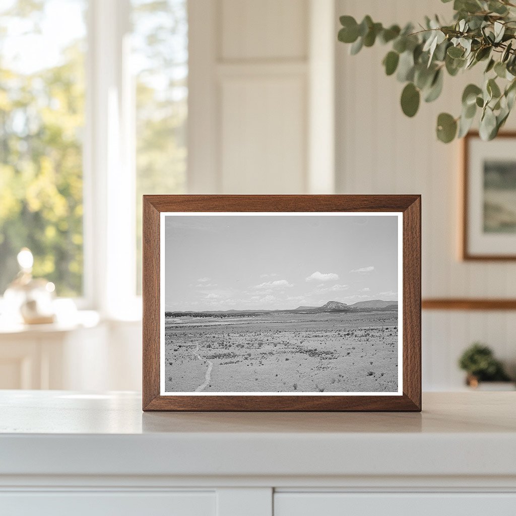 Vintage Landscape of Pie Town New Mexico June 1940