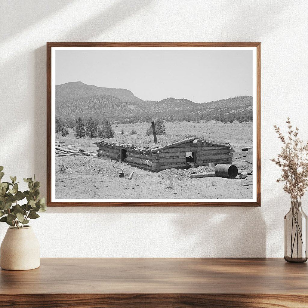 Pie Town New Mexico Dugout June 1940 Rural Living