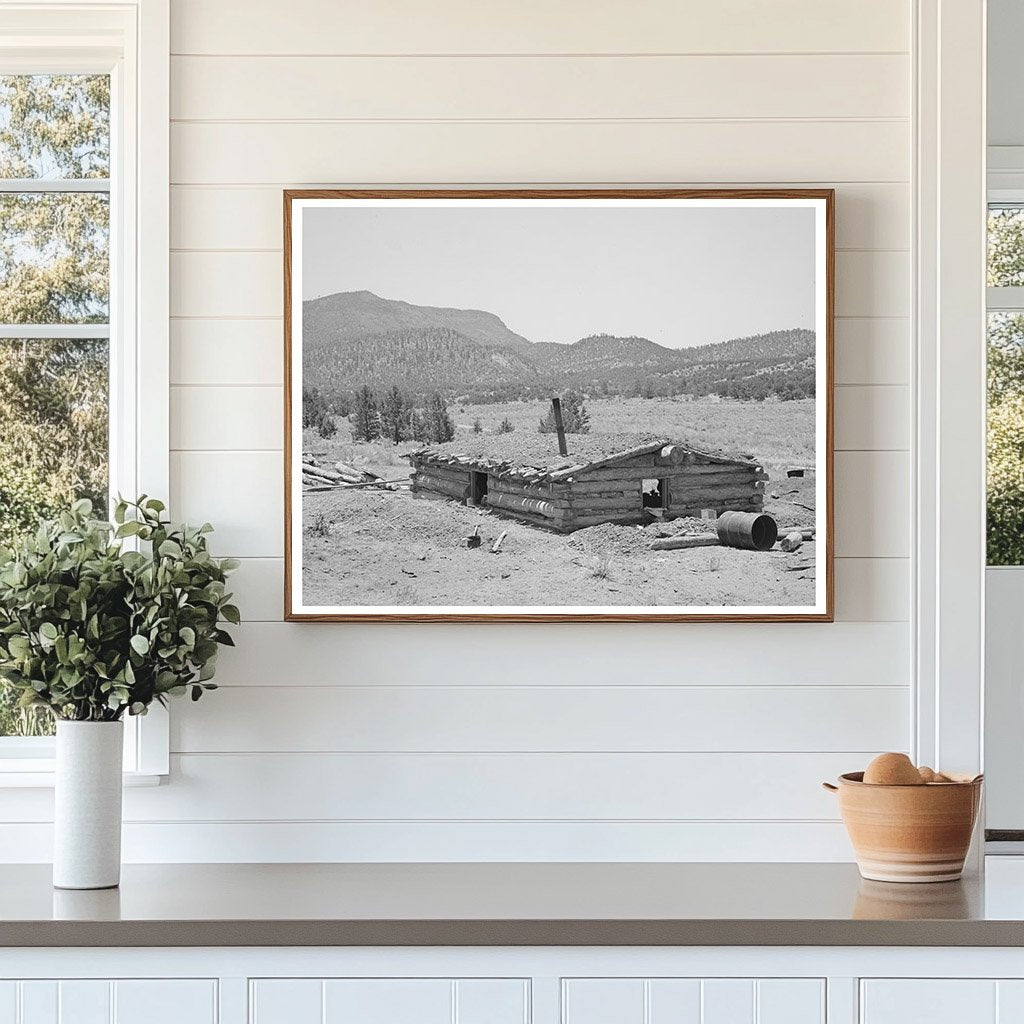 Pie Town New Mexico Dugout June 1940 Rural Living