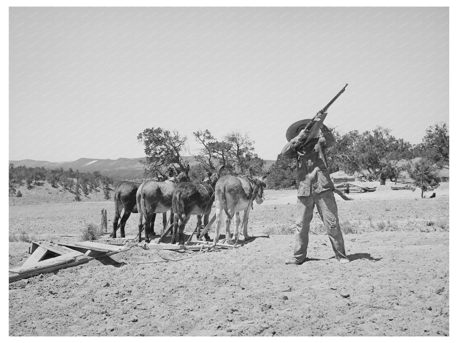 Mr. Leatherman Aiming Rifle at Hawk Pie Town 1940