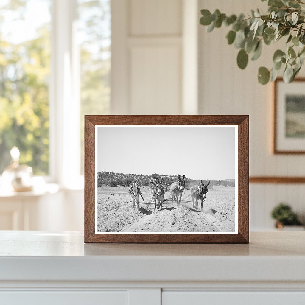 Mr. Leatherman Working on Terraces in Pie Town 1940
