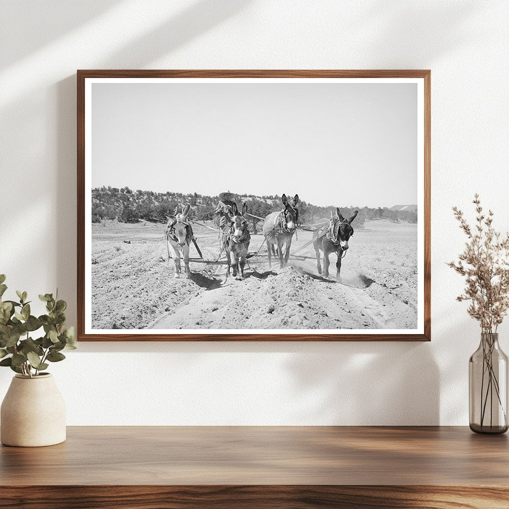 Mr. Leatherman Working on Terraces in Pie Town 1940