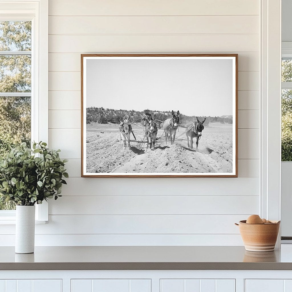 Mr. Leatherman Working on Terraces in Pie Town 1940