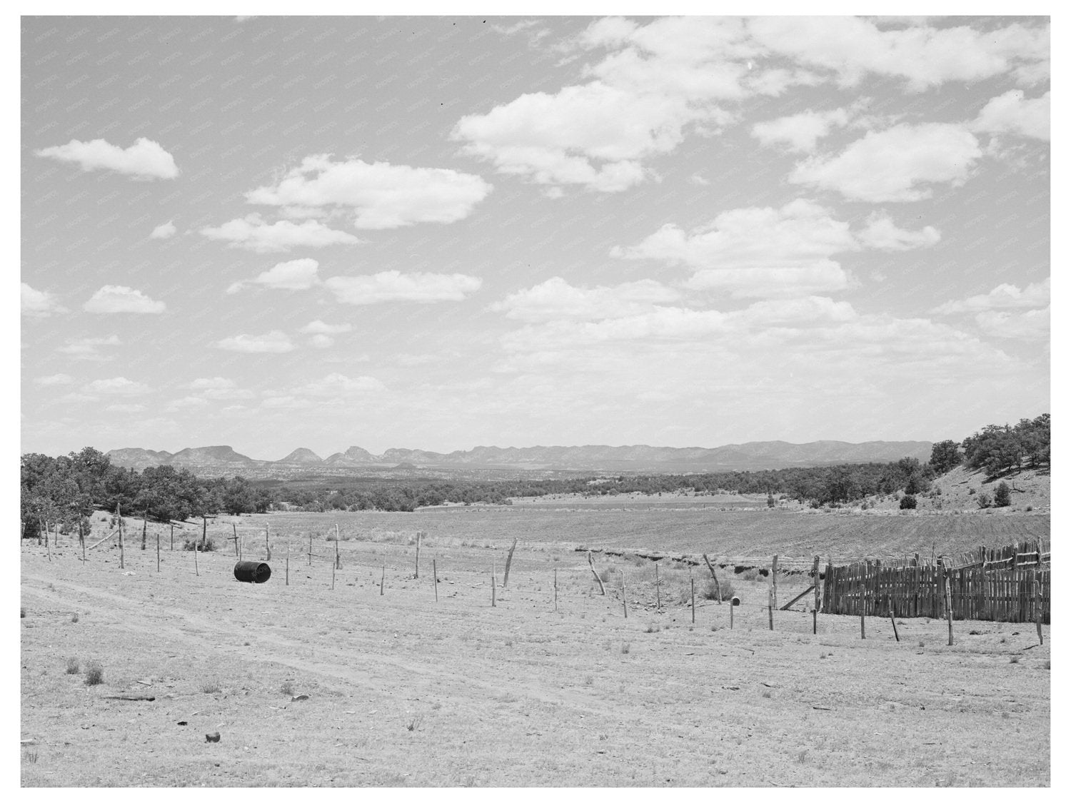 Farmland near Pie Town New Mexico June 1940