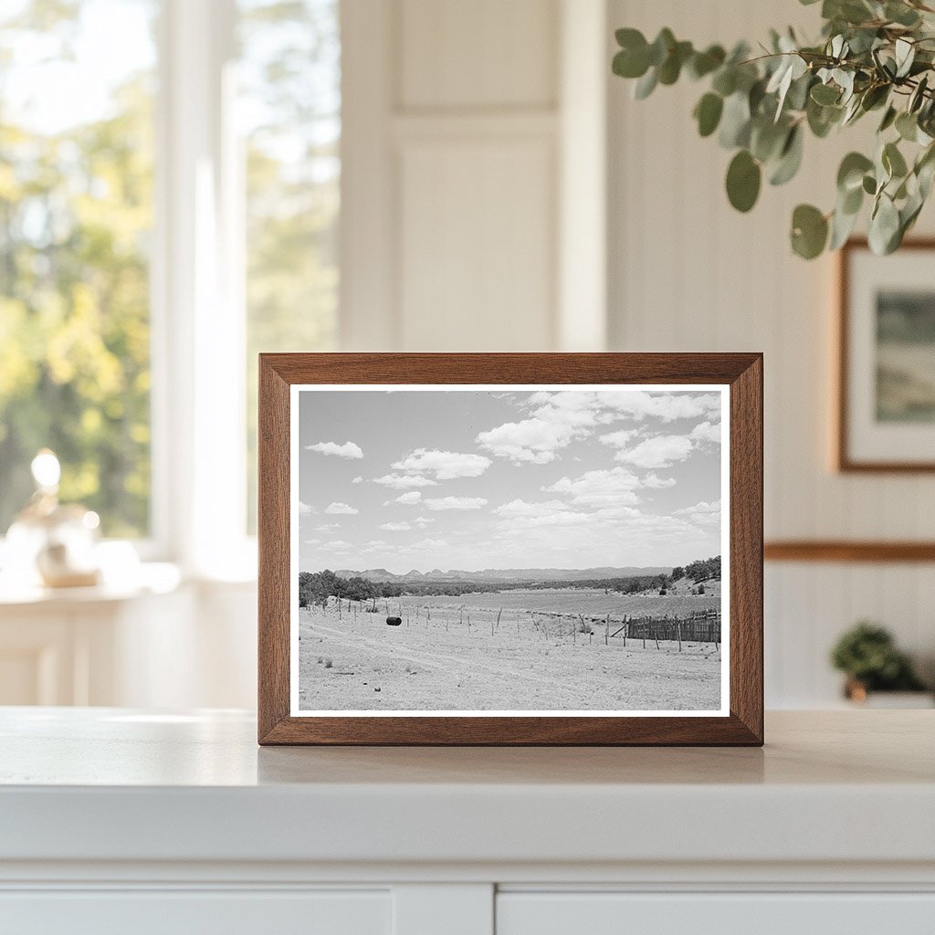 Farmland near Pie Town New Mexico June 1940