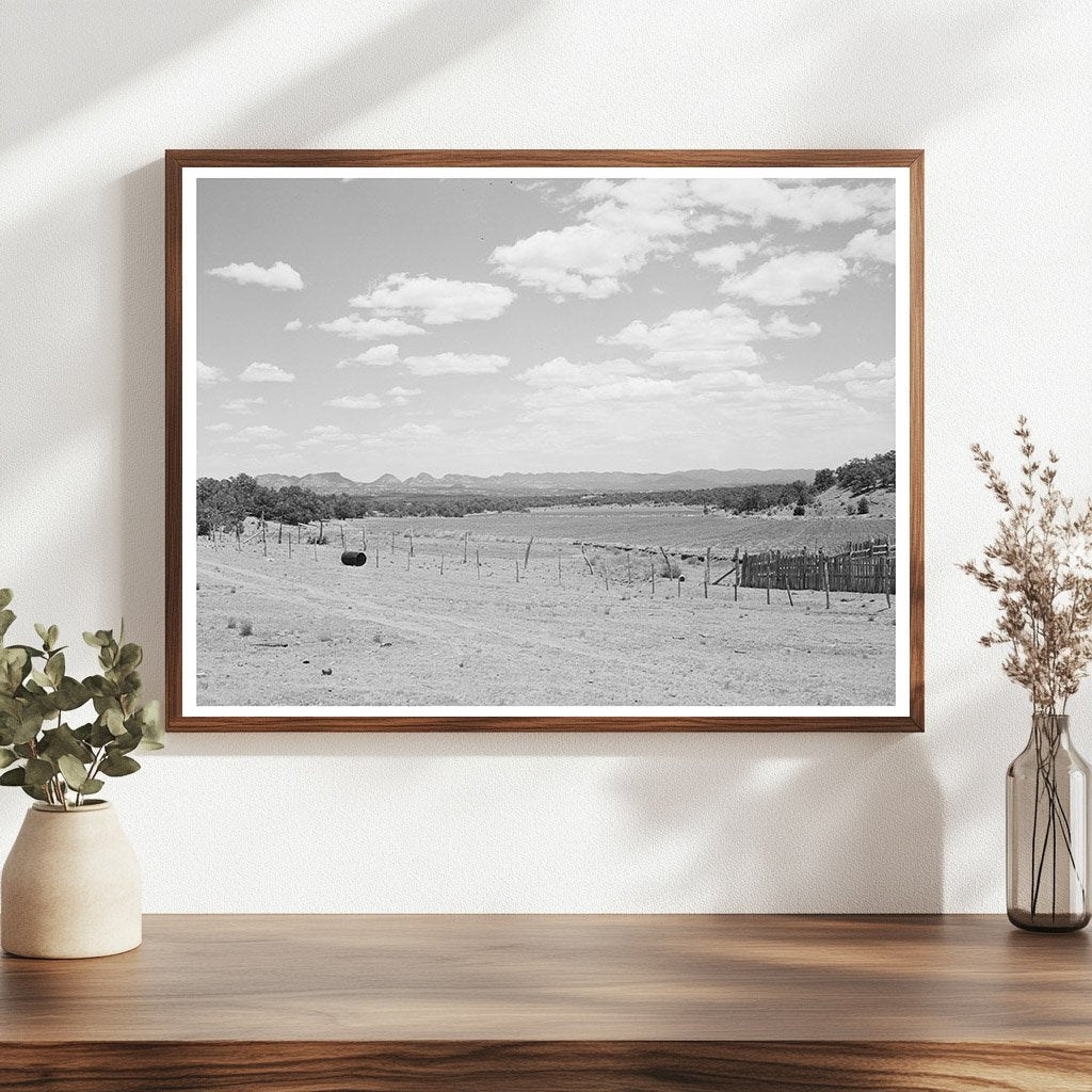 Farmland near Pie Town New Mexico June 1940
