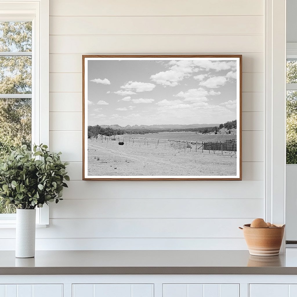 Farmland near Pie Town New Mexico June 1940