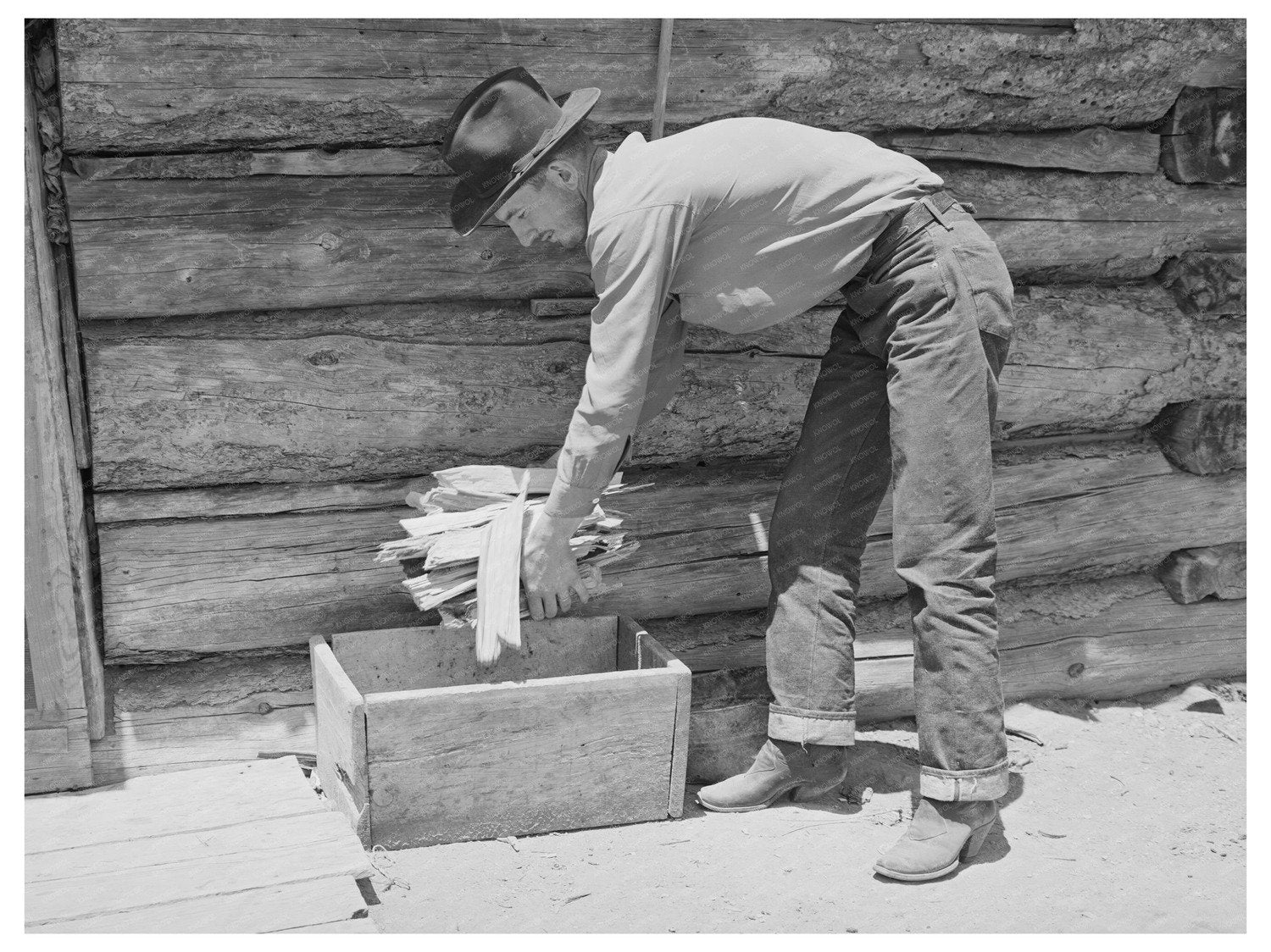 Farmer Collects Wood for Cook Stove in Pie Town 1940