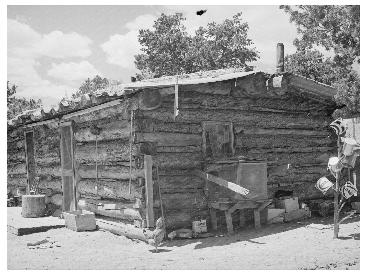 Log House in Pie Town New Mexico June 1940