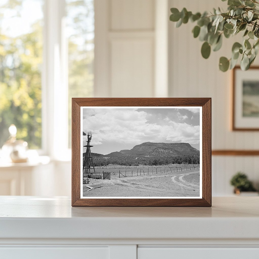 Pie Town New Mexico Farm Land June 1940 Rural Landscape