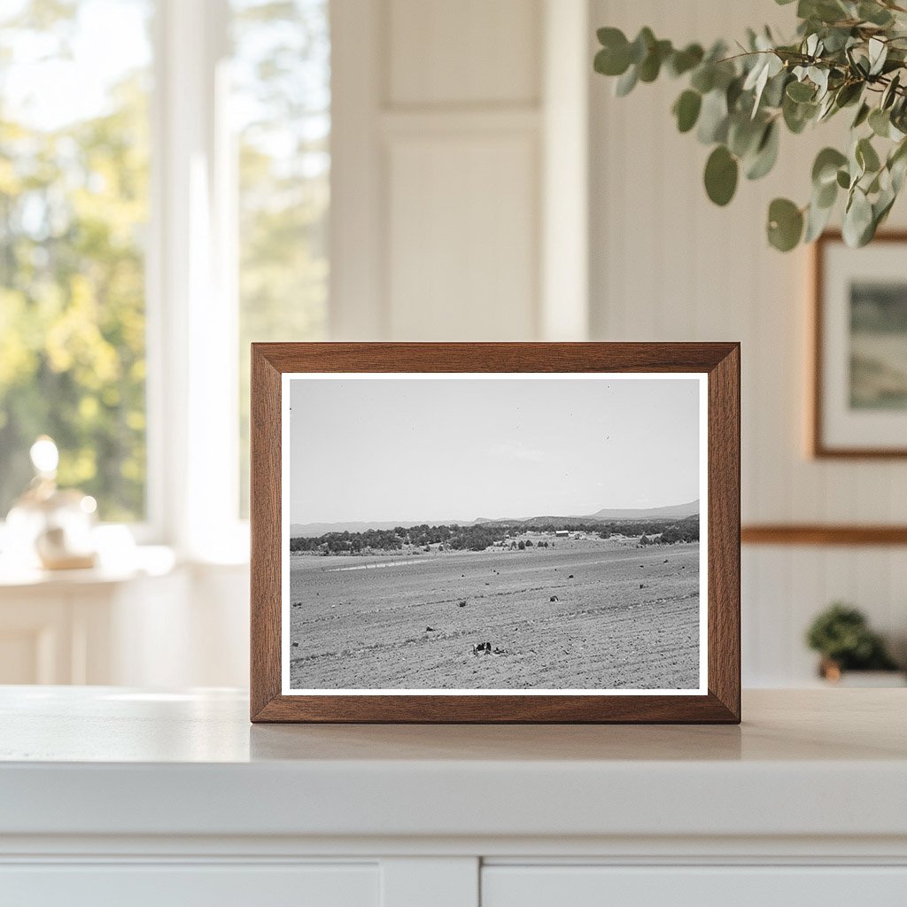 Farming Land in Pie Town New Mexico June 1940