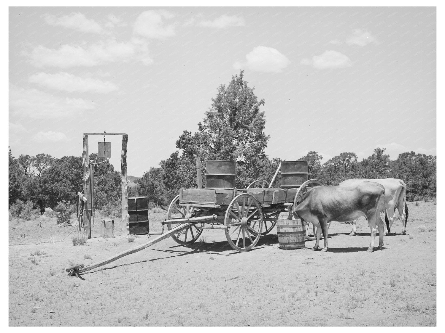 Farm Scene in Pie Town New Mexico June 1940