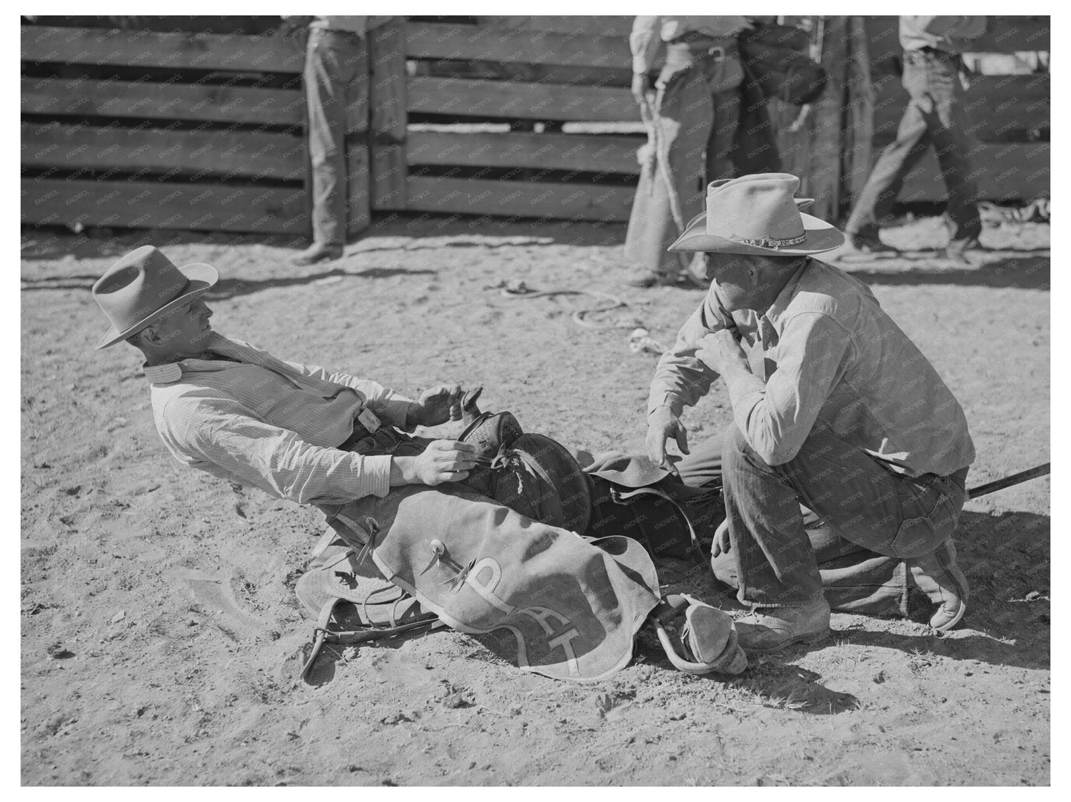 Cowboy Adjusts Stirrup Length for Bronc Busting 1940