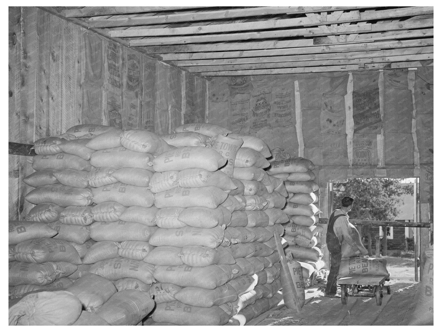 Bean Warehouse Interior in Pie Town New Mexico 1940