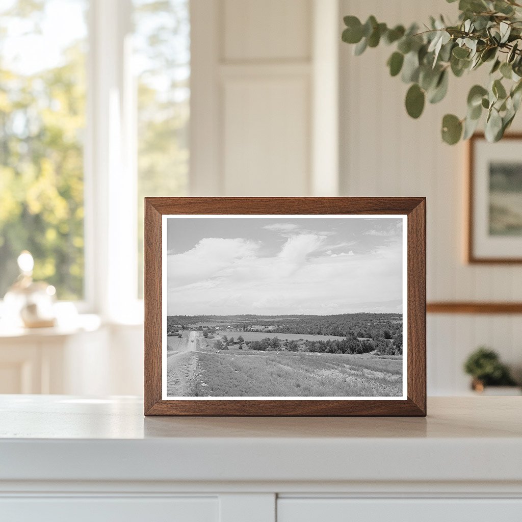 Chilili Farming Landscape Bernalillo County New Mexico 1940