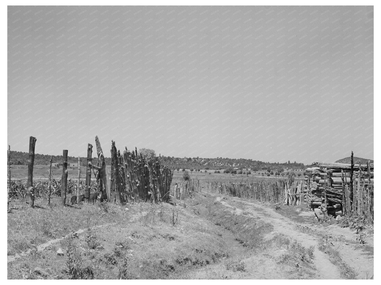 Irrigation Ditch in Chamisal Taos County New Mexico 1940