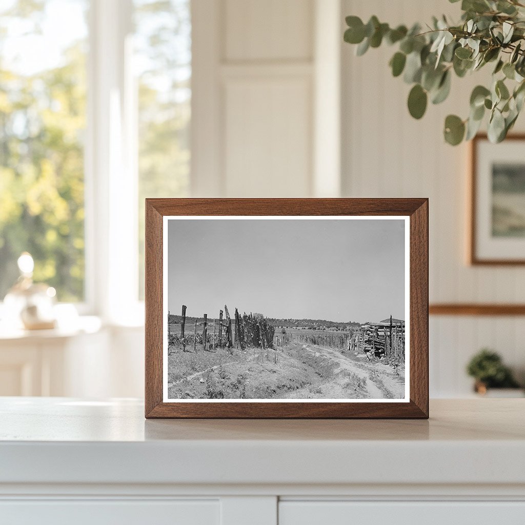 Irrigation Ditch in Chamisal Taos County New Mexico 1940