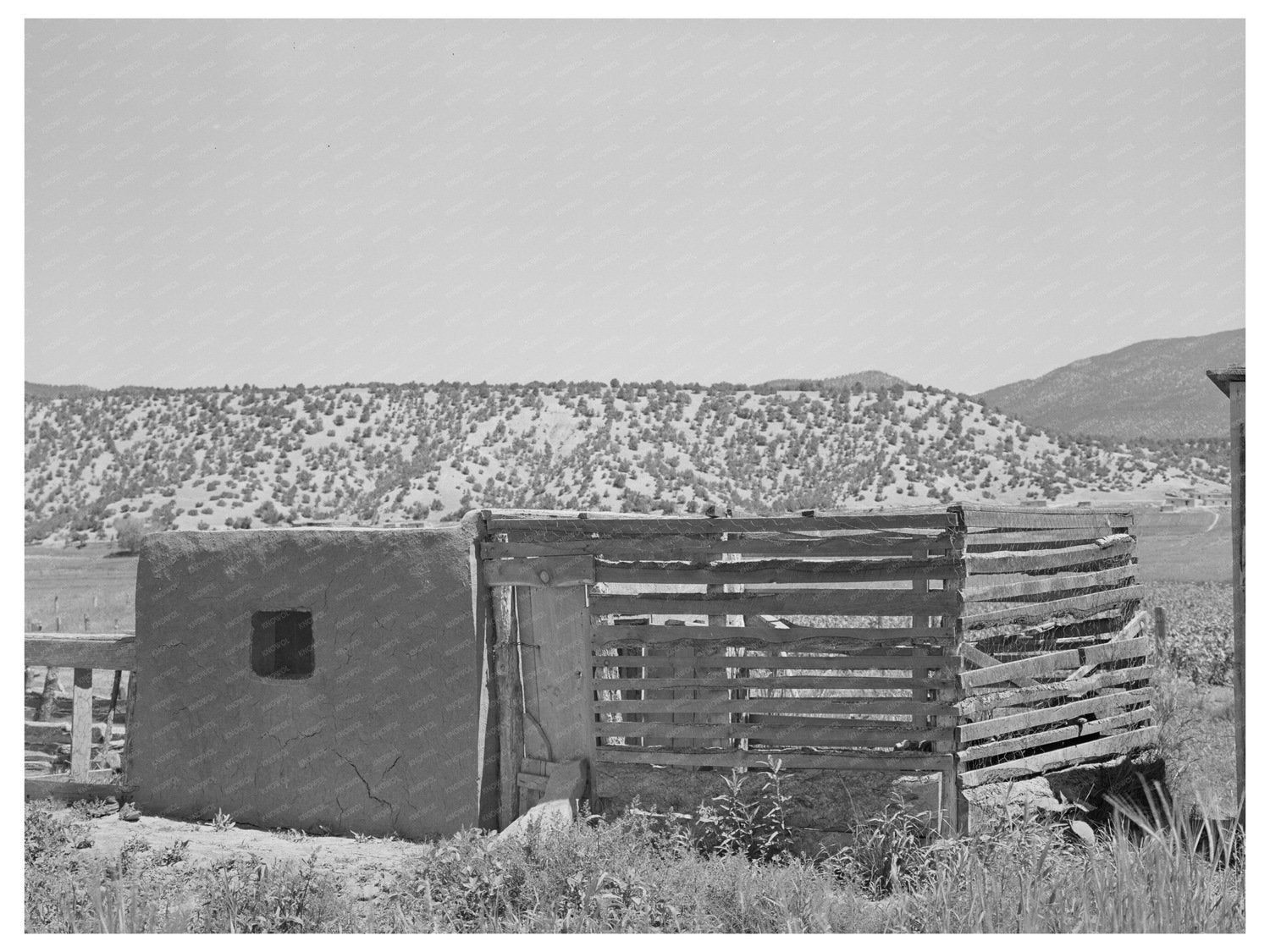 Chicken Coop on Spanish-American Farm Chamisal NM 1940