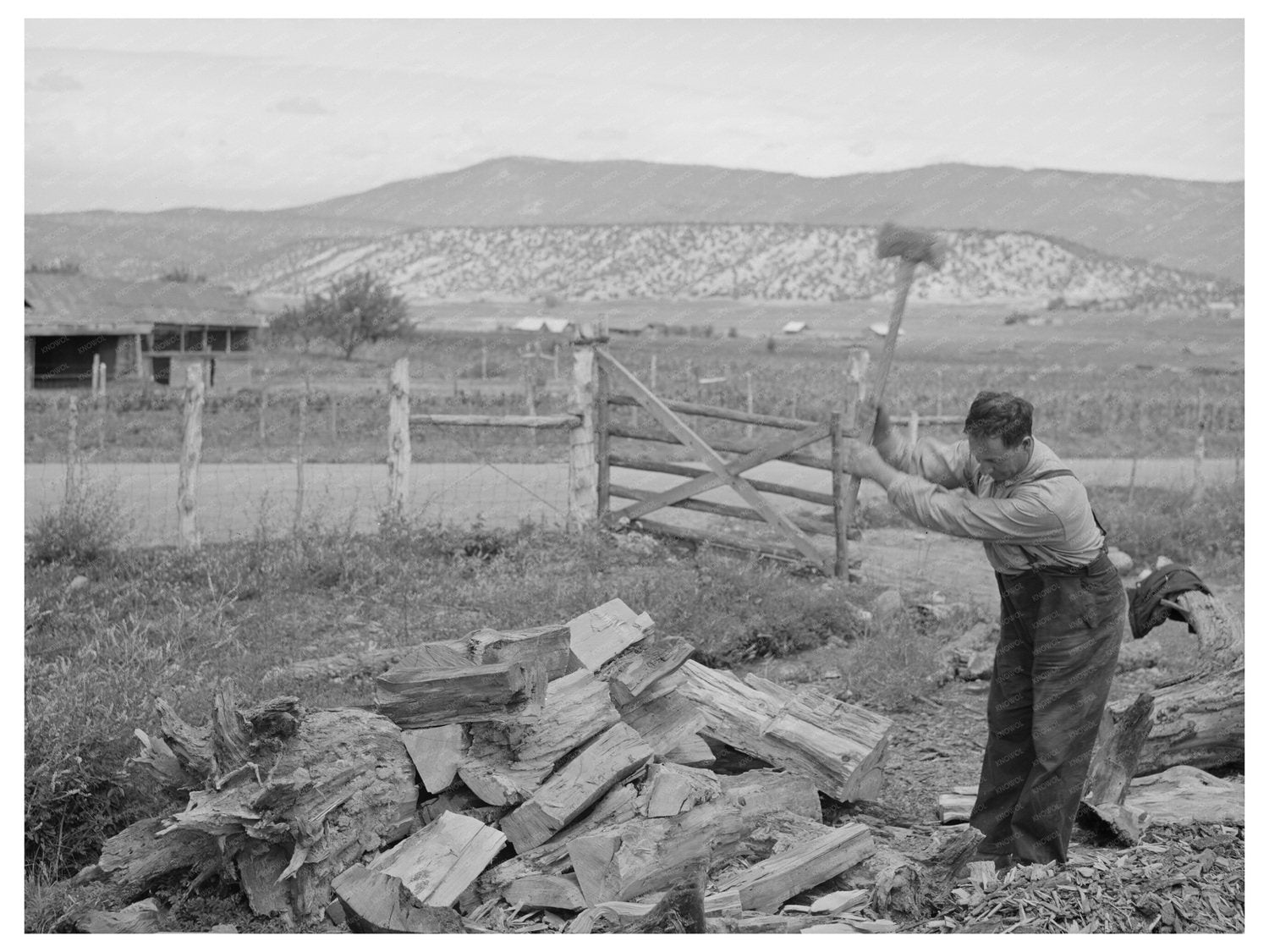 Spanish-American Farmer Chopping Wood Chamisal NM 1940