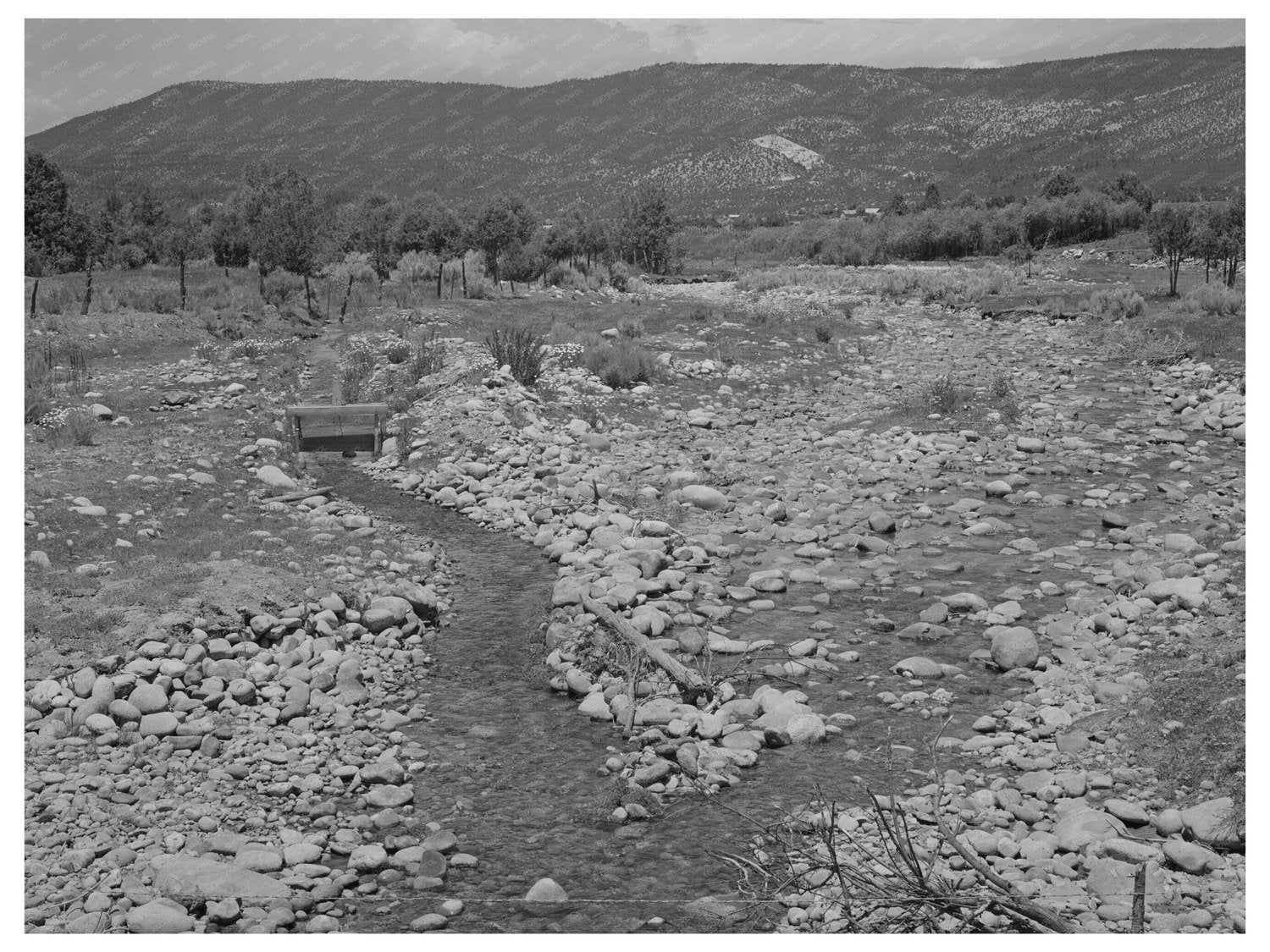 Chamisal Creek and Irrigation Ditch New Mexico July 1940