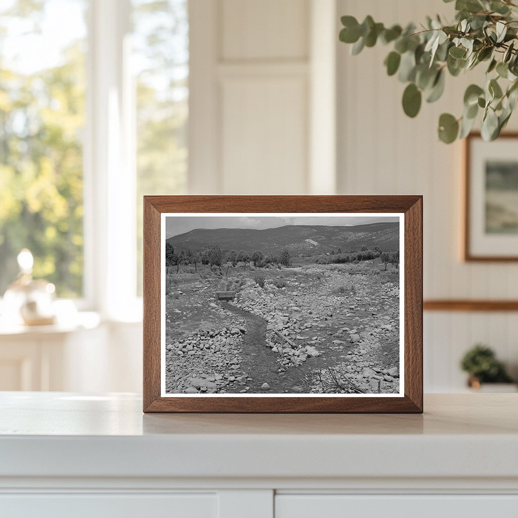 Chamisal Creek and Irrigation Ditch New Mexico July 1940