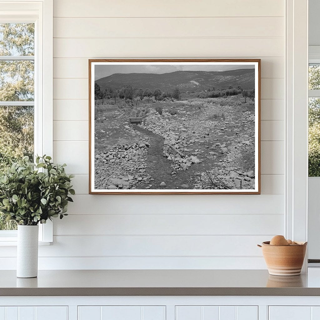 Chamisal Creek and Irrigation Ditch New Mexico July 1940