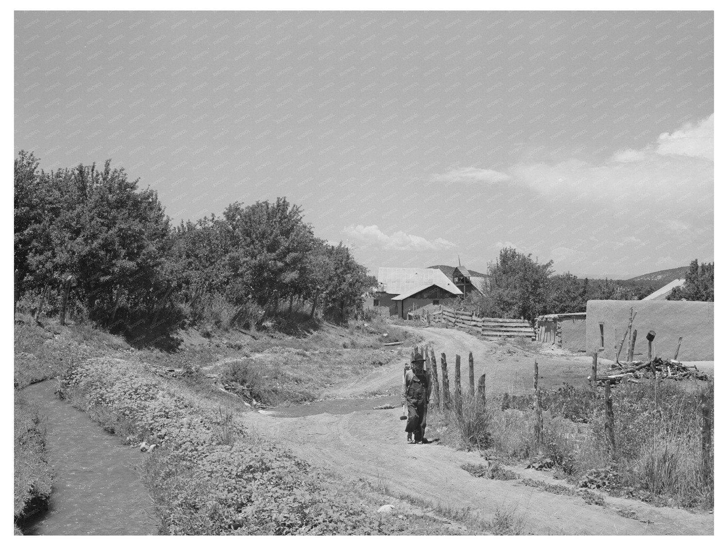 Irrigation Ditch at Chamisal New Mexico July 1940