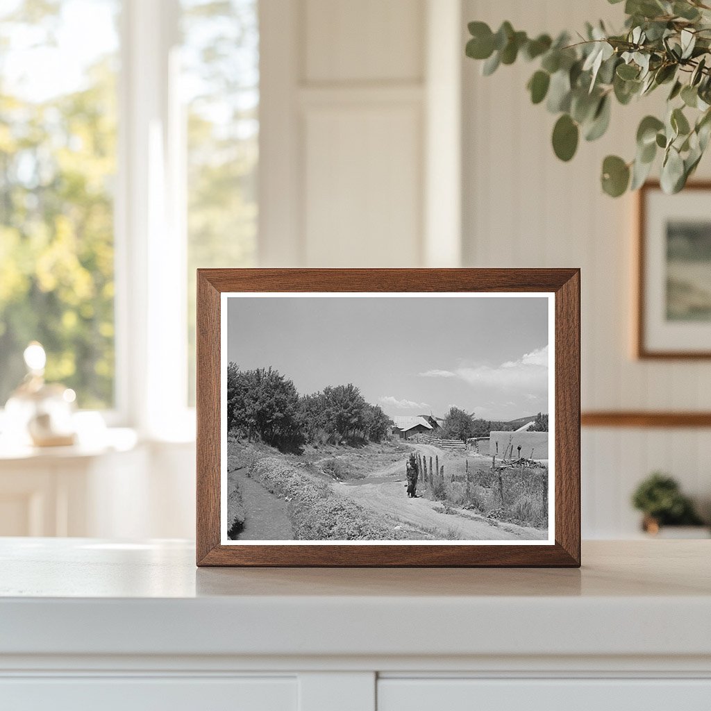 Irrigation Ditch at Chamisal New Mexico July 1940
