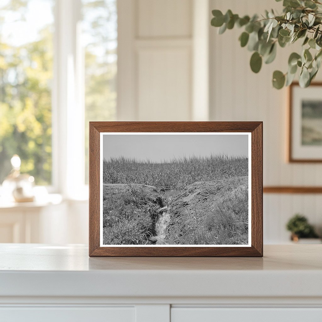 Chamisal New Mexico Irrigation Scene July 1940