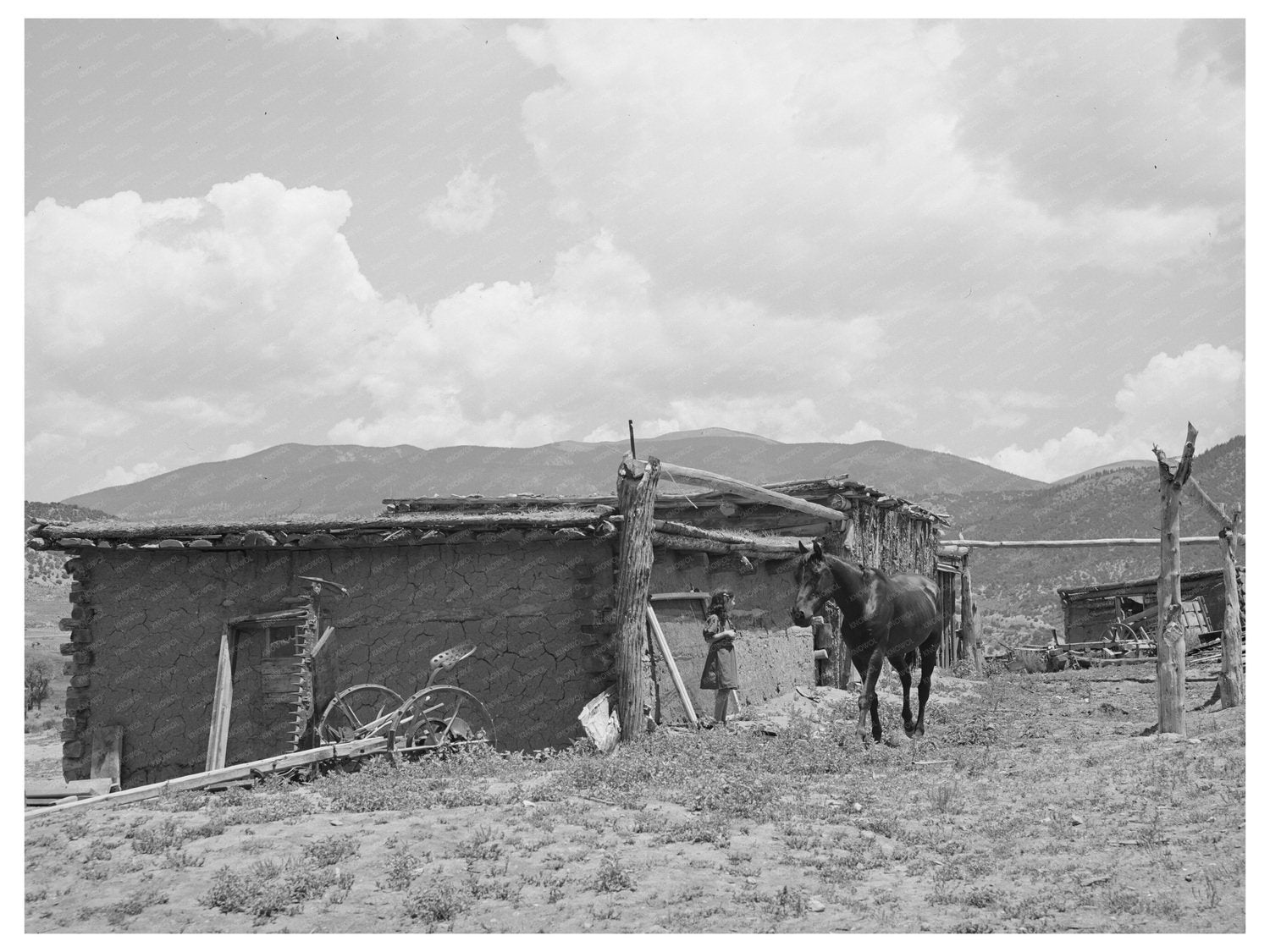 Barn on Spanish-American Farm Amalia New Mexico 1940