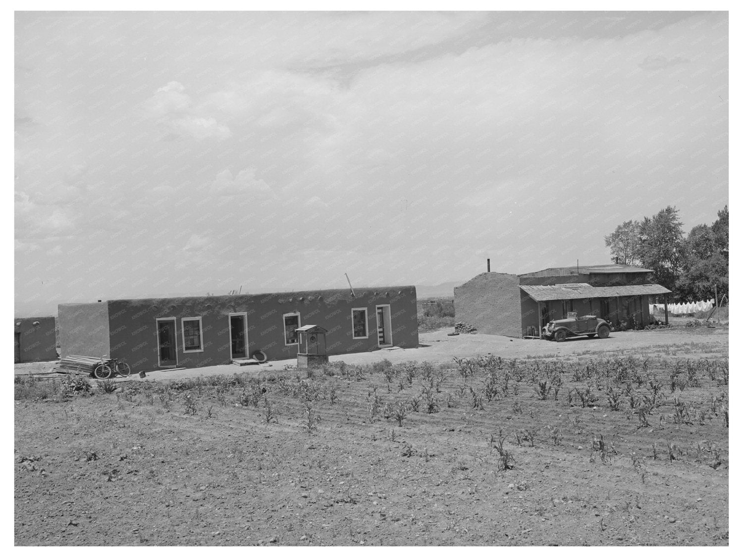 Adobe House and Corn Patch in Costilla New Mexico 1940