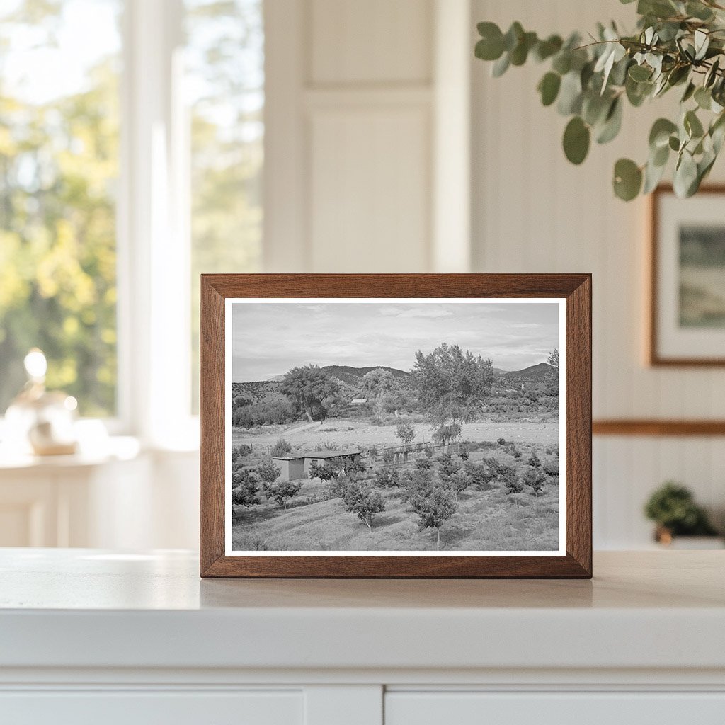 Irrigated Farm in Amalia New Mexico July 1940