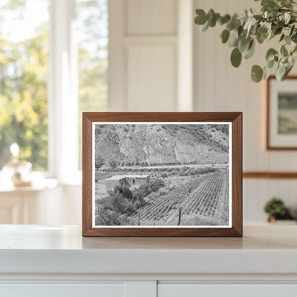 Adobe House and Chili Peppers in Dixon New Mexico 1940