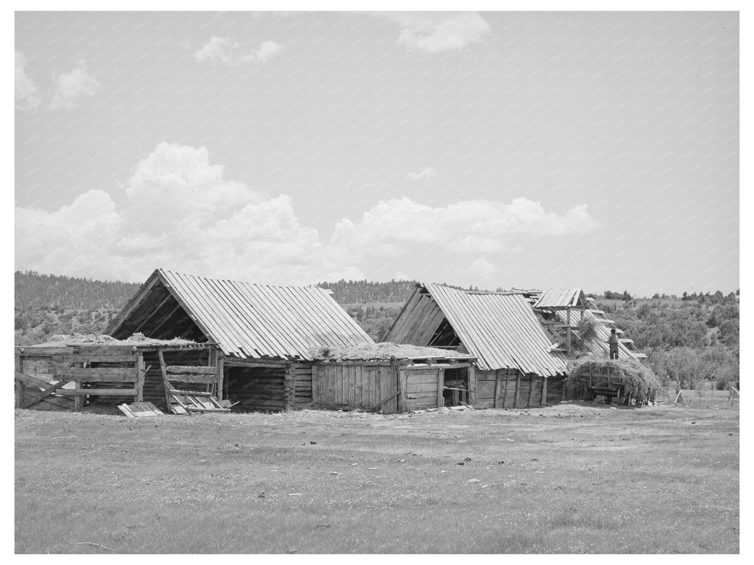 Hay Barns of Spanish-American Farmer in New Mexico 1940