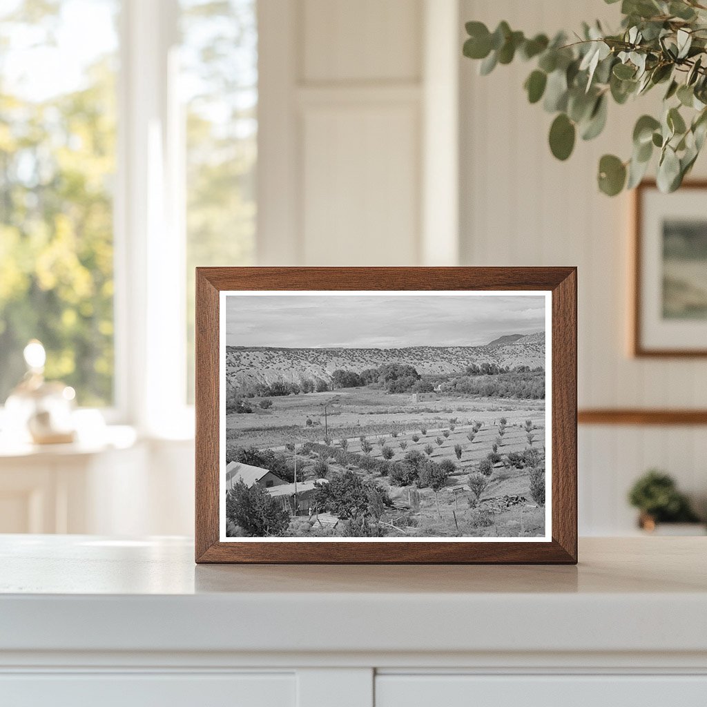 Dixon New Mexico Orchard July 1940 Vintage Photograph